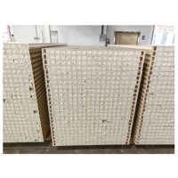 Porte intérieure WPC Belson produite par des machines automatiques, feuille de porte WPC haute performance, profil WPC anti-fourmis
