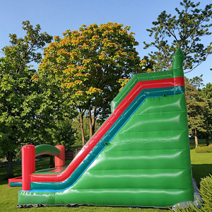 Prix d'usine Toboggan gonflable de jour de haute qualité 3m X 6m Toboggan gonflable pour enfants à vendre - Product Image 6