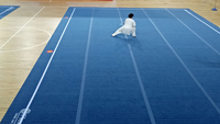 Dollamur flexi roll formation professionnelle wushu silat lutte judo tapis tapis tatami vinyle lisse xpe pvc mousse réticulée