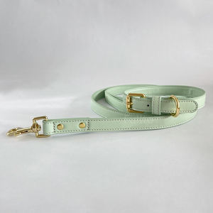 Juego de correa de <span class=keywords><strong>collar</strong></span> de perro pequeño para cachorro ajustable con soporte de bolsa de caca duradero para entrenamiento, caminar, diseño cómodo, accesorios para mascotas - Product Image 2