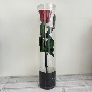 Flor preservada Cúpula <span class=keywords><strong>de</strong></span> <span class=keywords><strong>cristal</strong></span> Eternal Single Rose Forever Roses para regalo <span class=keywords><strong>de</strong></span> San Valentín - Product Image 6