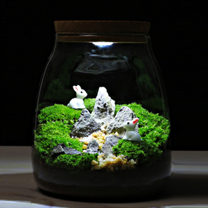 Kit de <span class=keywords><strong>terrarium</strong></span> de bricolage <span class=keywords><strong>Terrarium</strong></span> de mousse à verre pour plantes avec couvercle en liège <span class=keywords><strong>Terrarium</strong></span> de plantes à air - Product Image 1