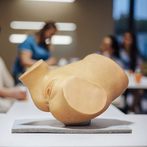 Modello di Addestramento per Esame Anale e Vaginale a Quattro Fasi in PVC, Dimensioni Reali, per Ostetricia e Ginecologia - Product Image 4
