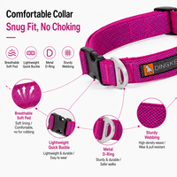 Collier pour chien réglable en nylon, rembourré en néoprène souple, anti-évasion, avec anneau en D en alliage robuste, pour chiens de taille moyenne à grande (XS-L), vente en gros OEM