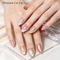 Vernis à ongles gel UV Makeauty Platinum Cat Eye 15ml, brillant, magnétique, pailleté, en flacon, pour manucure DIY et salon