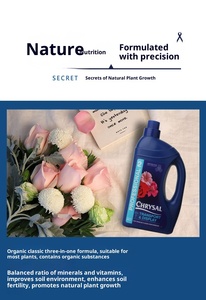 Holland <span class=keywords><strong>Koli</strong></span> Professional No. 2 Solution nutritive Fleuriste de conservation de la fraîcheur Organisateur de fleurs universel pour jardins - Product Image 4