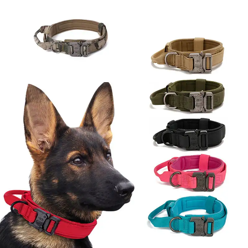 Pet Training Tactical Designer Dog Collar Metal Buckle Dog Collar Adjustable For Medium Large Dogs