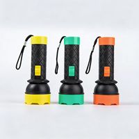 Mini lampe torche portable à clé, économique, en ABS, piles AA, pour situations d'urgence, camping en plein air, LED 3W, autonomie 10000 heures, lumière blanche