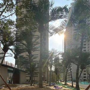 Cây cảnh nhân tạo cây nhựa nhân tạo 5m cành giả ngoài trời khổng lồ cây cọ lớn - Product Image 6