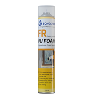 Super prix, montage professionnel pour portes et fenêtres, résistance au feu, mousse PU 750ML