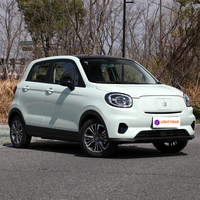 Leapmotor T03 Auto Luxe, mini véhicule électrique 4 places, nouvelle énergie, longue autonomie, conduite à gauche, caméra arrière pour les trajets urbains