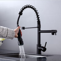 Robinet de cuisine monocommande noir poli avec douchette extractible, mitigeur eau chaude et froide, pour rénovation moderne de l'évier de cuisine