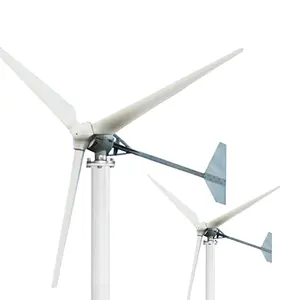 Yüksek enerji kullanımı asit yağmur dayanıklı 10Kw 220V 3 Kw küçük rüzgar rüzgar türbini jeneratör