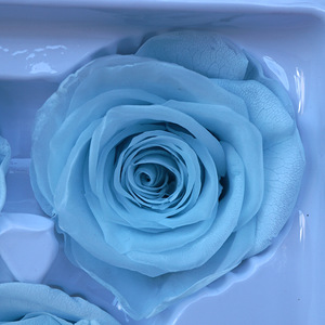 ดอกไม้แห้งขนาด 5-6 ซม. ดอกไม้แห้งอมตะ ขายส่ง ปรับแต่งสีได้ ดอกกุหลาบขาว ดำ ดอกกุหลาบนิรันดร์ - Product Image 6