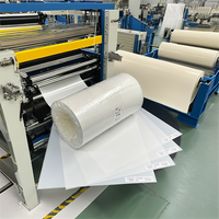 Film diffuseur PET de qualité optique à haute transmission pour panneaux LED et rétroéclairage d'écrans LCD – Fabricant de feuilles de diffusion