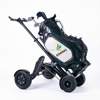 Scooter de golf 2-en-1, chariot de golf électrique, chariot de golf à moteur arrière 1600W, batterie à déconnexion rapide, prix de gros usine OEM