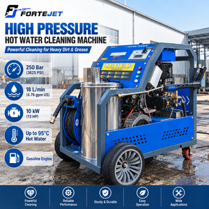 Idropulitrice a Benzina 250 Bar con Acqua Calda, Pulitore Industriale ad Alta Pressione 18L/min 95 ° Macchina C - Product Image 1