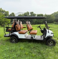 Voiturette de golf électrique 2 places personnalisée CE, autonomie 130 km, pour location, utilisation dans les attractions touristiques, sites panoramiques et parcs à thème