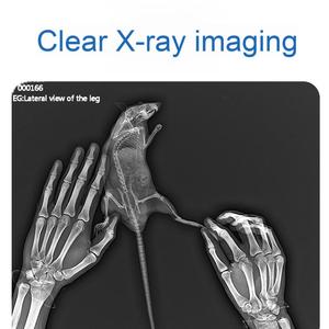 Sistema Portátil de Rayos X Digital Veterinario, Máquina Detectora de Rayos X Portátil, Panel Plano Interactivo Inalámbrico, Sistema de Imagenología DR Completo, Precio - Product Image 6