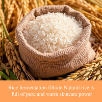 Sérum liquide pour le soin de la peau à l'extrait de riz coréen, vitamine C, niacinamide, acide hyaluronique, naturel, végétalien, hydratant, éclaircissant, réparateur, illuminateur