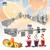 Petite usine de production de jus de fruits naturels à vendre