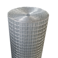 Clôture en treillis métallique galvanisé soudé 1x1 pouce pour volière, lapinière, poulailler