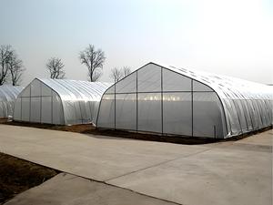 Rau nông nghiệp Nhà Màu Xanh lá cây đơn-span PE phim nhựa nhà kính <span class=keywords><strong>Poly</strong></span> Đường hầm nhà kính để bán - Product Image 4