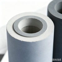 Élément filtrant de sonde d'échantillonnage CEMS en céramique/titane fritté plat |   Filtre à poussière pour gaz de combustion Garantie 12 mois OEM/ODM