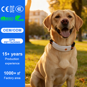 <span class=keywords><strong>Collier</strong></span> électronique intelligent Qcool <span class=keywords><strong>pour</strong></span> animaux de compagnie <span class=keywords><strong>avec</strong></span> contrôle par application, étanche, suivi du sommeil et surveillance de la santé, LED intégrée - Product Image 1