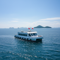 Catamaran de luxe en acier personnalisable de 62 pieds, ferry pour 40 passagers avec moteur interne pour les opérations de tourisme et de visites touristiques