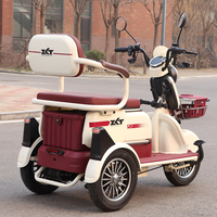 Scooter de mobilité à 3 roues ZLT 1000W homologué CEE, 2 places, pneus 300-10, charge utile 300 kg