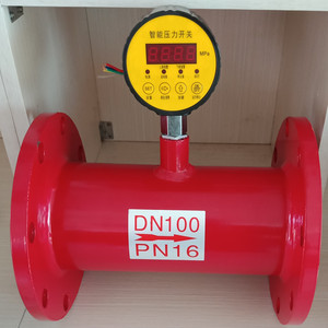 Pressostat intelligent DN150 PN16 pour eau, filetage G1, en laiton, IP65, pour systèmes de protection incendie - Product Image 4