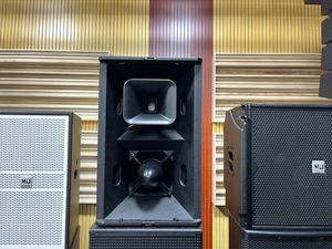 Phổ biến đầy đủ phạm vi và khoảng cách xa kép 12 inch thụ động neodymium dòng mảng loa chuyên nghiệp - Product Image 3