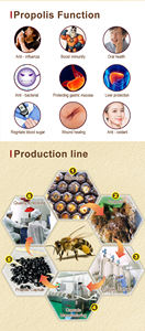 Cápsulas de propóleo para mejorar la inmunidad BEEHALL - Product Image 5