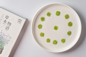 Marcapáginas hechas a mano de flores prensadas, plantas naturales respetuosas con el medio ambiente - Product Image 2