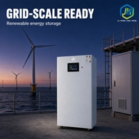 Batterie LiFePO4 5,12 kWh 51,2 V 100 Ah pour système d'alimentation de secours solaire domestique