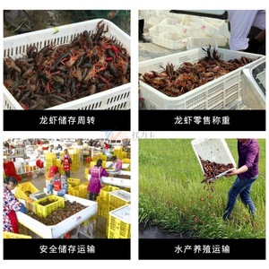 Crayfish Plastic Crates 55L Perforated <b>Stackable</b> For Freshwater Transport Storage - Product Image 5