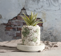 Jardinière en ciment conçue en coquille en détresse 3.5 pouces Pot de plantes en pierre unique pour décor de jardin intérieur extérieur