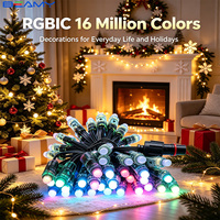 Beamy DC12V 24V Luces LED de Cadena de Puntos de Píxeles RGB a Todo Color con Control Inteligente para Iluminación de Fachadas de Edificios en Exteriores, Decoración Navideña