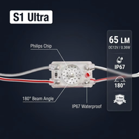 Module LED S1 Ultra en gros 65LM 180 °   Puce haute luminosité 0,36W DC12V étanche IP67 à angle de faisceau étroit pour enseigne lumineuse