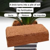 Brique de coco compressée 100% biologique de qualité supérieure pour la culture d'herbes aromatiques