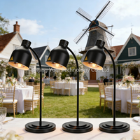 Lampe chauffante électrique noire pour aliments, chauffe-plat individuel pour frites, cafétéria, buffet, réceptions