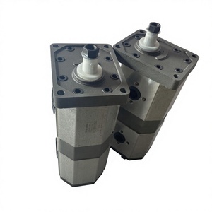 Bomba Hidráulica de Doble Engranaje de Aleación de Aluminio HUAMAO, Adecuada para Sistemas de Llenado Hidráulico de Miniexcavadoras y Tractores - Product Image 1