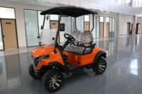Véhicule de golf électrique en gros d'usine, version batterie lithium, pour patrouille et transport dans les parcs et propriétés