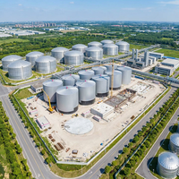 Réacteur anaérobie automatique à biogaz Schumann Tank Animal Farm Food Waste 6000m 316L en acier inoxydable