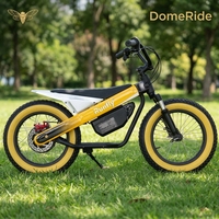 Meilleures ventes de scooter de vélo électrique russe de 16 pouces pour enfants vélo d'équilibre pour enfants