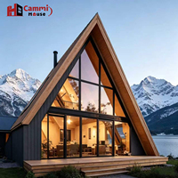 Cammi Steel Structure - Cadres de villas en acier léger, Maison triangulaire, Villa préfabriquée de luxe, Gîte de montagne, Salon, École