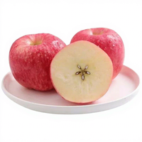 Concurrerend geprijsde Fuji en Gala appels, vers groen en rood fruit met een sappige, zoete smaak uit Gansu.