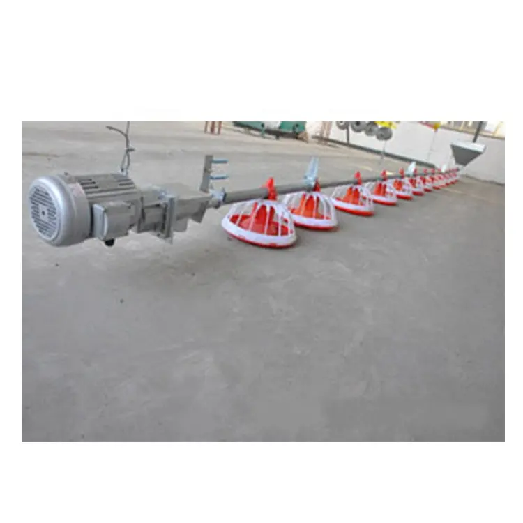 Small Poultry Feed Line Poultry Chain Feeding Line Automatic Feeders For Poultry Chickens