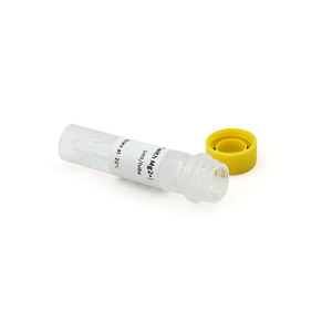 Enzima de Polimerasa de ADN Hua Chenyang Pfu E0090P01 de Grado Industrial para Aplicaciones de PCR - Product Image 5